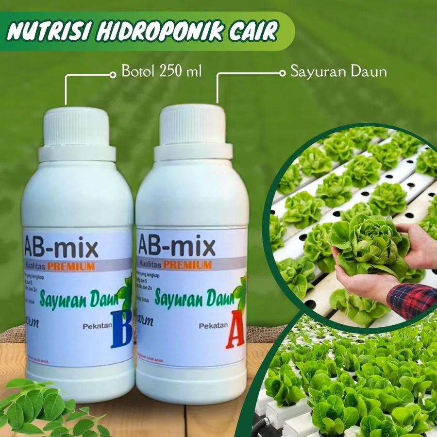product_images/ab-daun-1.png